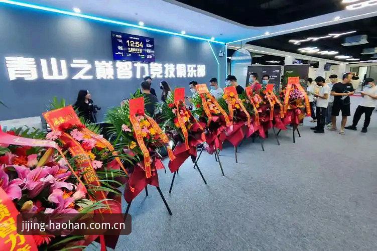 揭秘浩瀚体育CN竞技之巅哪个好：一个老用户的多维对比与真实体验